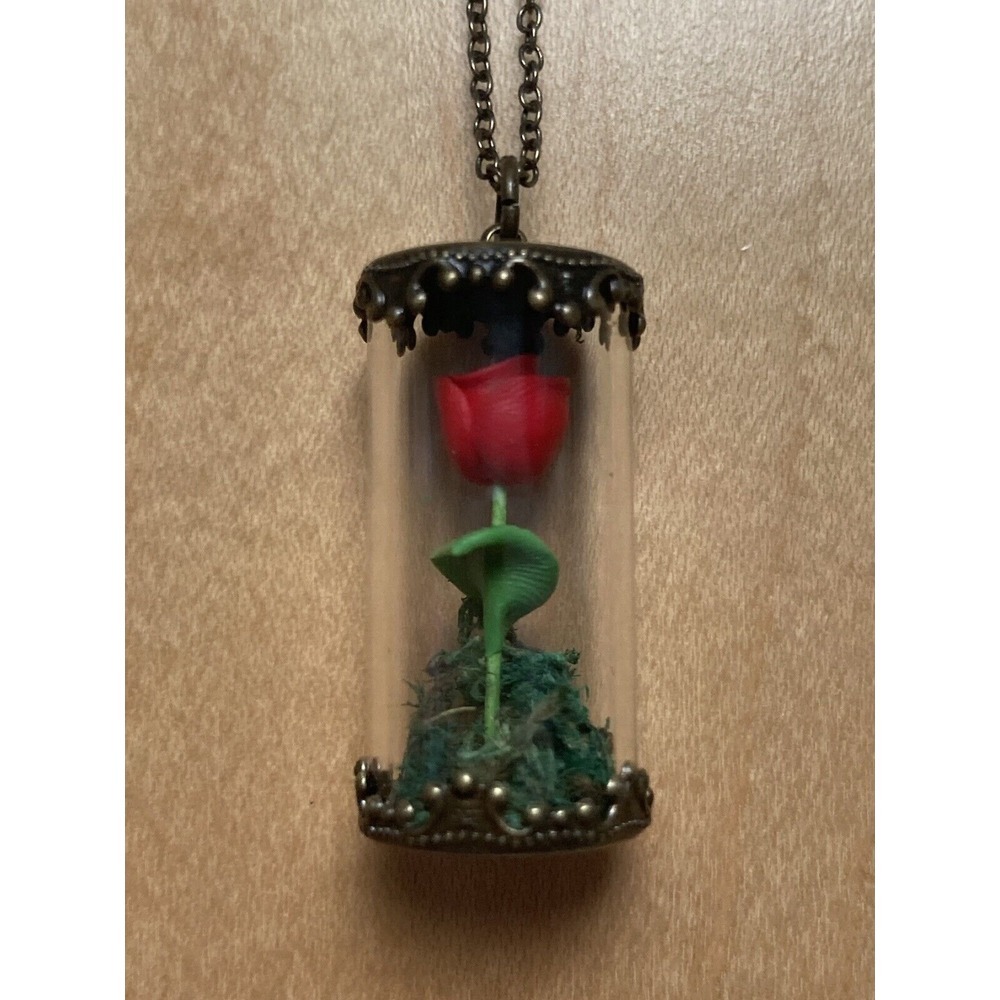 Handmade Rose In Glass Jar Necklace Flower Floral Fantasy Fairytale Brown Red
